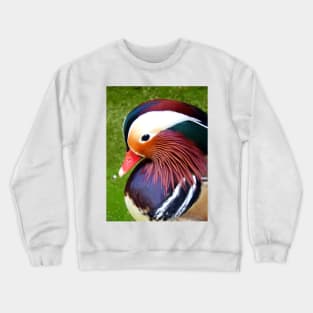 Mandarin Duck Crewneck Sweatshirt